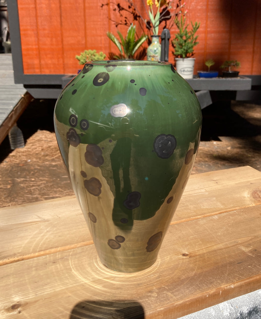 Founder’s Recommendation No. 1 — “Obsidian Grove”