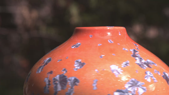 Family Edition No. 1 — “Sunset Lineage”