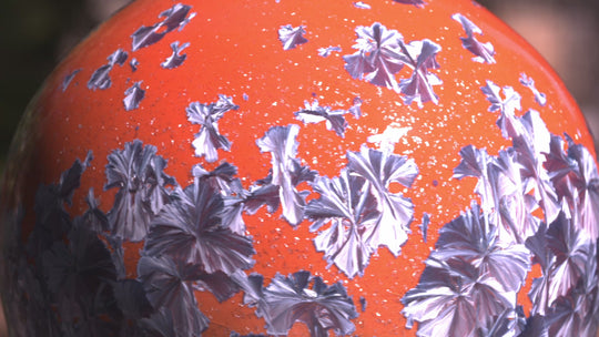 Student Body No. 1 — “The Graduate”