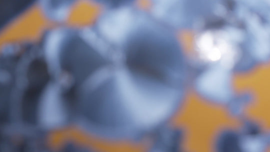 Golden Drift Series — Family of Four