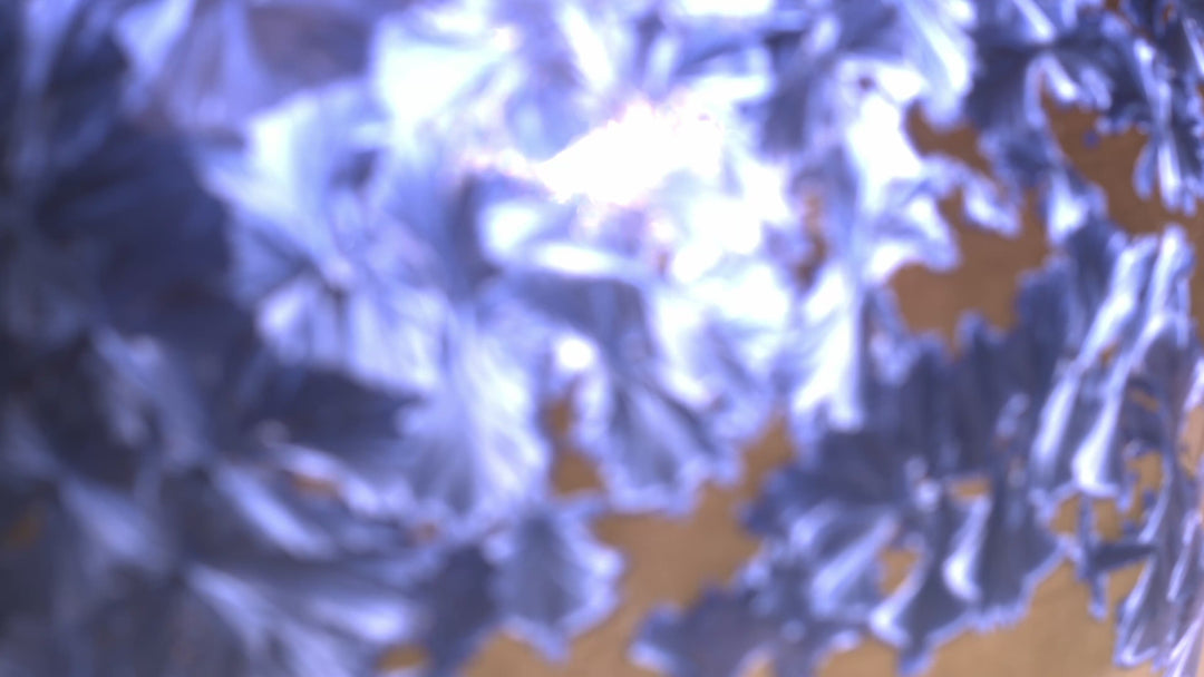 The Misfits Collection No. 5 — “Olive Eclipse”