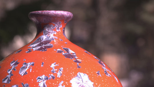 Student Body No. 1 — “The Graduate”